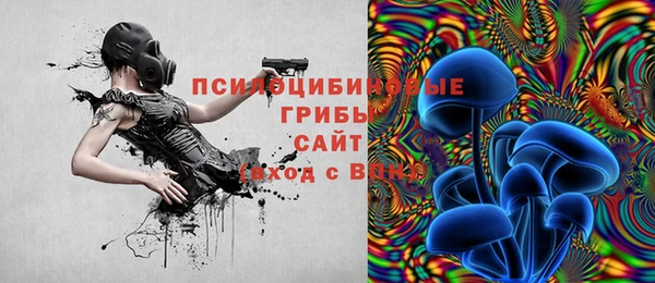 круглые Гусиноозёрск