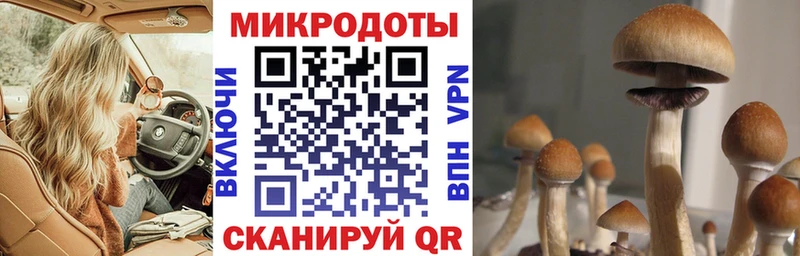 Псилоцибиновые грибы мицелий  Никольское 